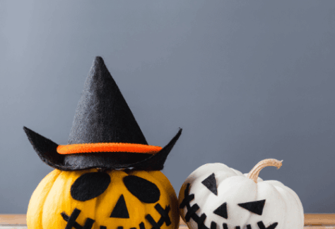 Willy Woo Woo Magical Pumpkin Patch - Severna Park Children's Centre - Preschool and Daycare in Pasadena, MD